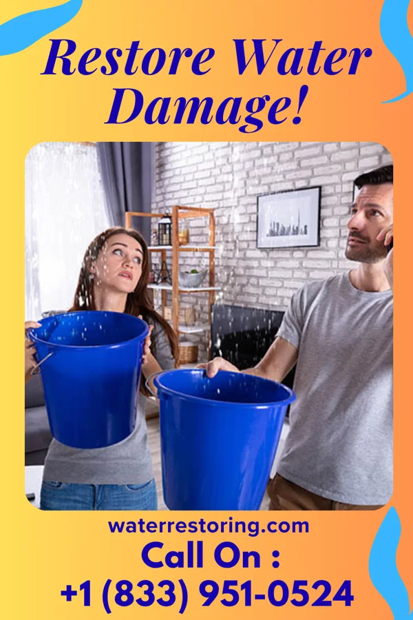 water restoration Capital Emergency Restoration Pros Isle of Hope