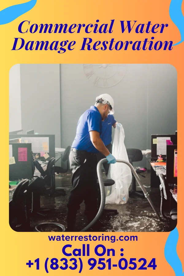 Commercial Water Damage Restoration in Isle of Hope, GA