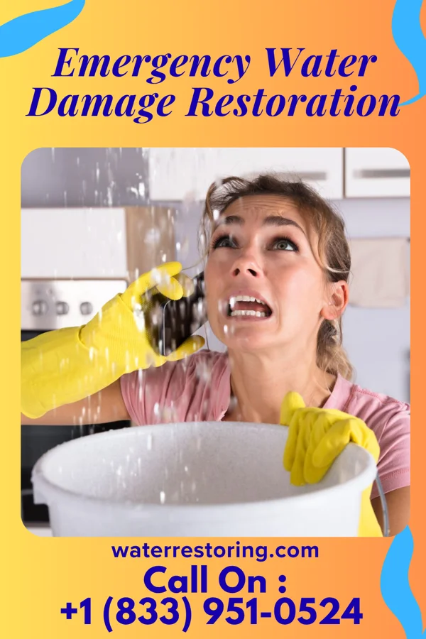 Emergency Water Damage Restoration in Isle of Hope, GA